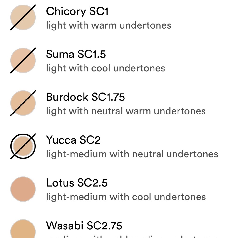 ILIA True Skin Serum Concealer
SC2 YUCCA - Picture 7 of 9